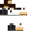 Texture for King Brendan