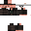 Texture for walter