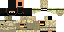 Texture for Steve