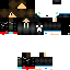 Texture for Puzzle Experts