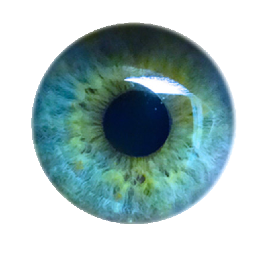 Texture for Endereye+