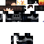 Texture for luc 