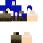 Texture for bogitakr