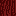 Texture for Acacia Tree Trunk