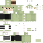 Texture for dino simon