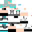 Texture for mineskin
