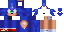 Texture for Sonic