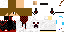 Texture for moicasSs