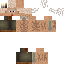 Texture for Drunk Einstein