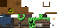 Texture for apprentice