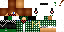Texture for steve