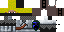 Texture for Minecraft Knight