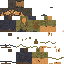 Texture for Joel