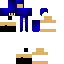 Texture for Coco 2
