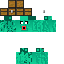 Texture for hal csicska