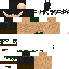Texture for erlor forte arrumado