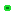 Texture for ecto