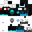 Texture for ninja