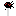 Texture for spider flower