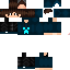 Texture for leon
