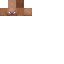 Texture for steve careca