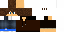 Texture for ds