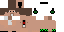 Texture for NimoPlays