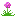 Texture for pink flower