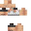 Texture for شئه