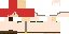 Texture for net2
