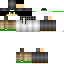 Texture for W3LITON 21
