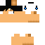 Texture for HerobrinePRFS
