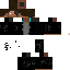 Texture for maxg2