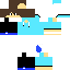 Texture for Joshua23