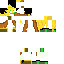 Texture for palocraft