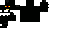 Texture for black jaguar