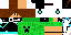 Texture for lapka955