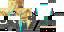 Texture for ninja
