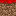 Texture for red grass side