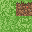 Texture for grama