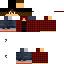 Texture for homo2