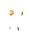 Texture for pp