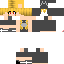 Texture for NEKO
