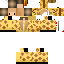 Texture for pipi155