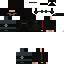 Texture for skully