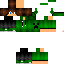 Texture for steve