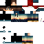 Texture for leonhictube