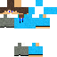 Texture for Swan