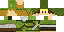 Texture for Link
