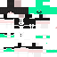 Texture for s